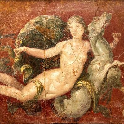 Tour a Pompei con degustazione di Vini e pranzo in vigna