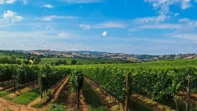 Escursione nel Chianti, a Siena, a San Gimignano, a Pisa