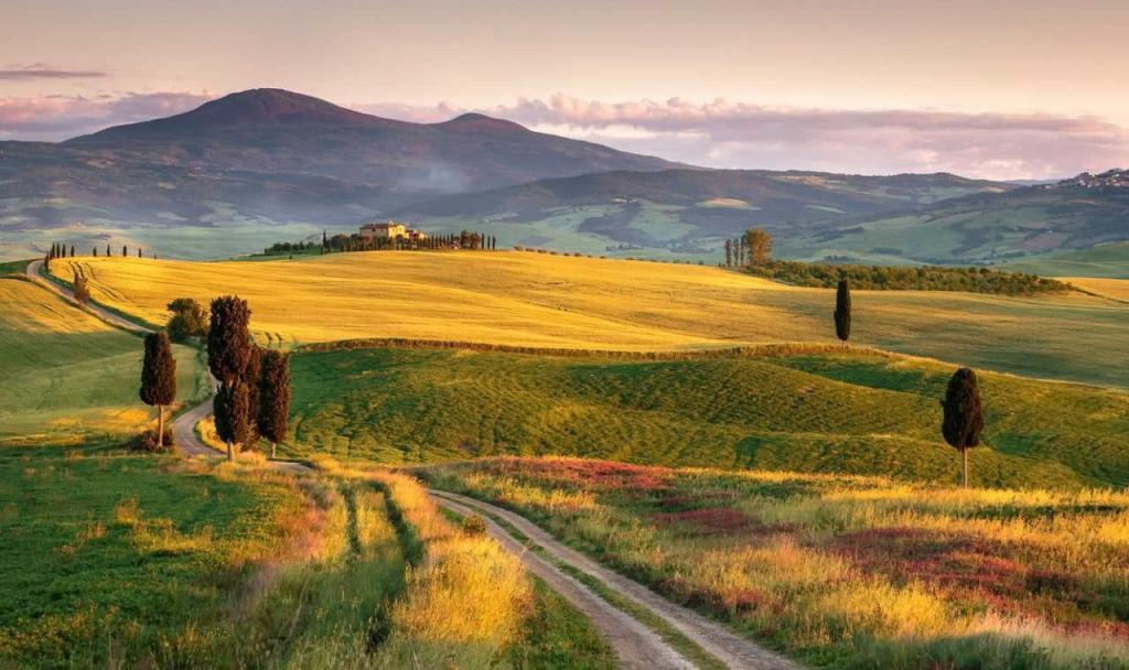 Full Day Wine Tour in Val D'Orcia - from Rome or Florence