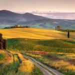 Full Day Wine Tour in Val D'Orcia - from Rome or Florence