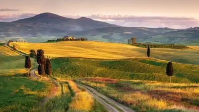 Tour della Toscana e delle Cinque Terre - Autista Privato