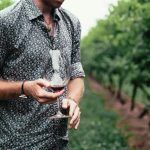 Degustación de vinos en una bodega cerca de Roma