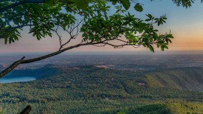 Private Wine Tour with Cooking Class and Lunch